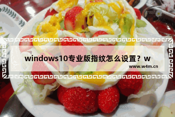 windows10专业版指纹怎么设置？windows10专业版指纹的正确设置技巧分享