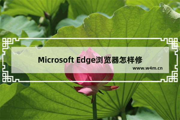 Microsoft Edge浏览器怎样修改主页和默认搜索引擎？修改方法推荐