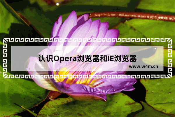认识Opera浏览器和IE浏览器