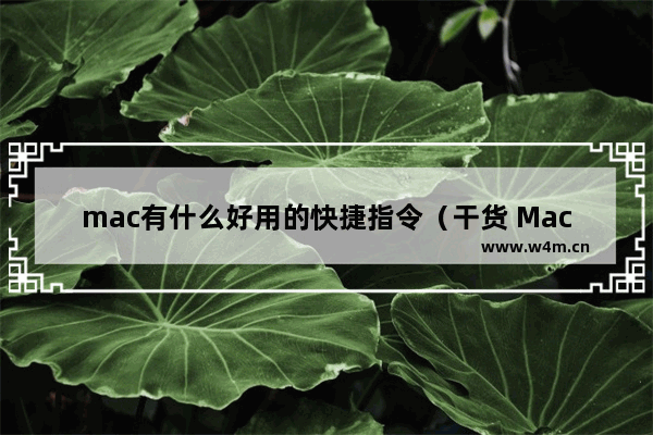 mac有什么好用的快捷指令(干货 Mac系统的快捷键推荐)