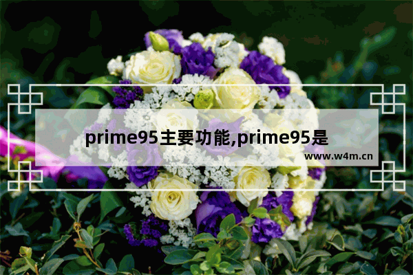 prime95主要功能,prime95是什么软件