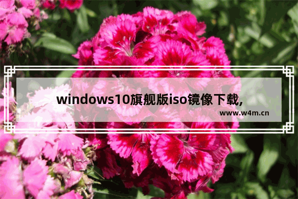 windows10旗舰版iso镜像下载,windows10正式版官方原版镜像iso下载地址