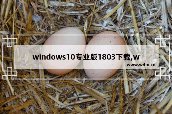 windows10专业版1803下载,win101909版本下载