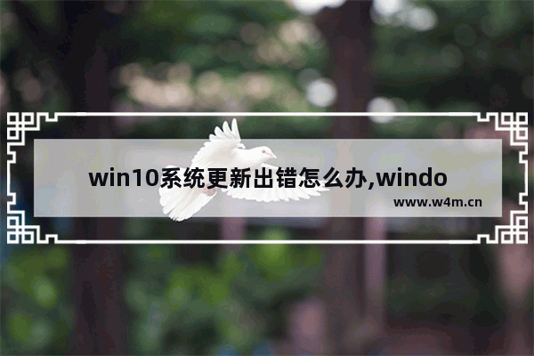 win10系统更新出错怎么办,windows10更新出现错误怎么办
