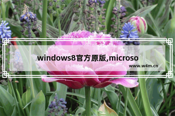 windows8官方原版,microsoft windows8.1是什么版本